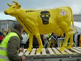 Oktober 2009 038